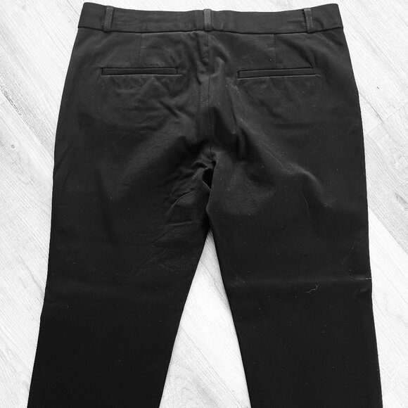 Ladies' Tailored Style Sloan Fit Banana Republic Trousers - SIZE 10 NWT (no tag) - Picture 8 of 8